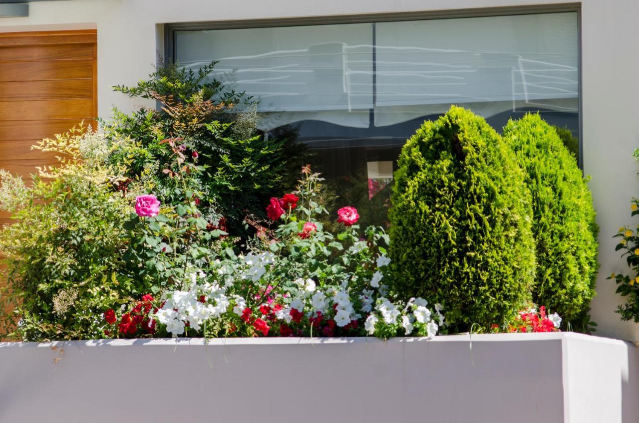 Villa Serenity Pórto Ráfti Exteriér fotografie