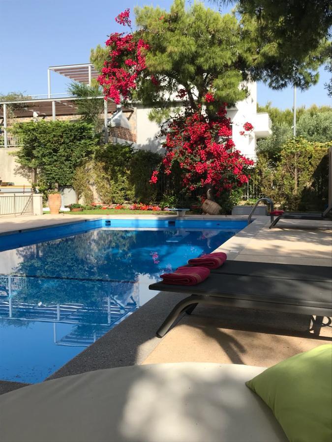Villa Serenity Pórto Ráfti Exteriér fotografie